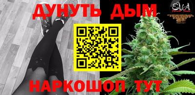 сатива Аргун